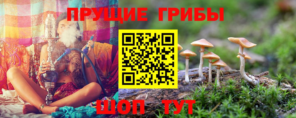 Усолье-Сибирское  Псилоцибиновые грибы ЛСД  хочу наркоту  Вход с VPN  Галлюциногенные грибы Magic Shrooms 